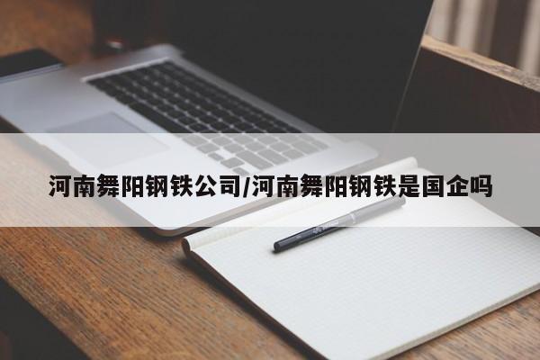 河南舞阳钢铁公司/河南舞阳钢铁是国企吗