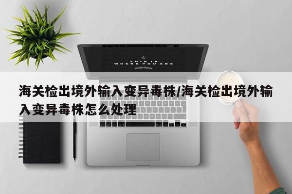 海关检出境外输入变异毒株/海关检出境外输入变异毒株怎么处理